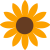 Fleur_Logo