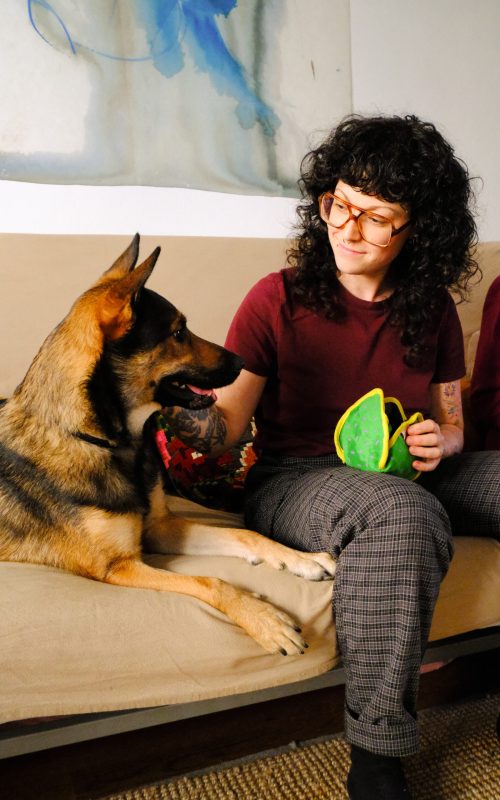 educateur canin lyon villeurbanne