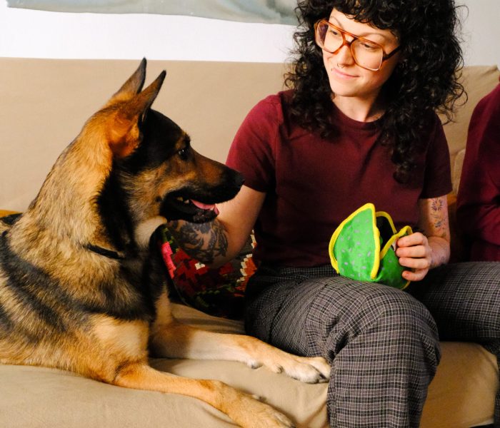 educateur canin lyon villeurbanne