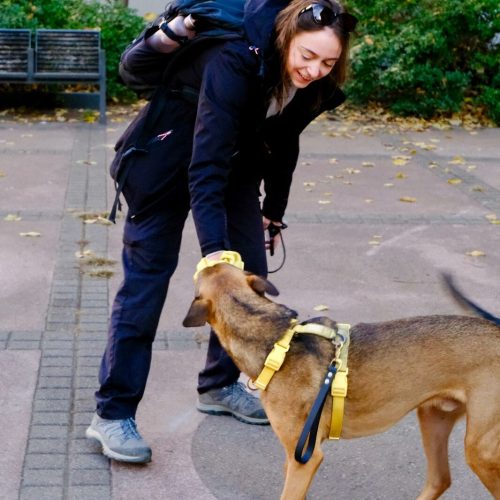 educateur canin lyon villeurbanne