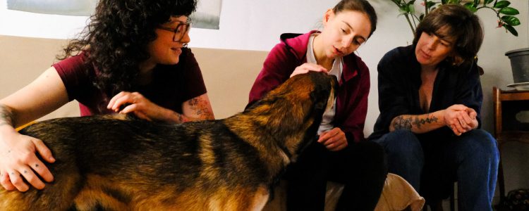 educateur canin lyon villeurbanne