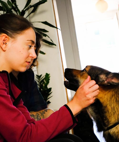 educateur canin lyon villeurbanne