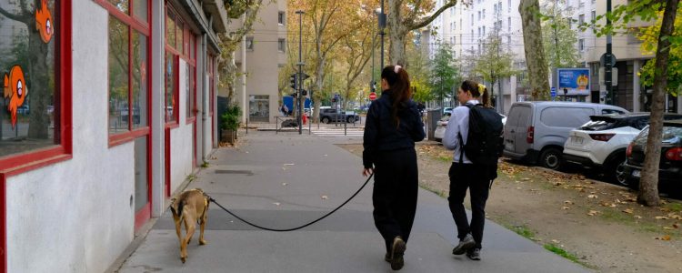 educateur canin lyon villeurbanne