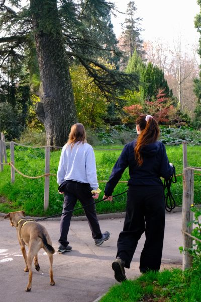 educateur canin lyon villeurbanne