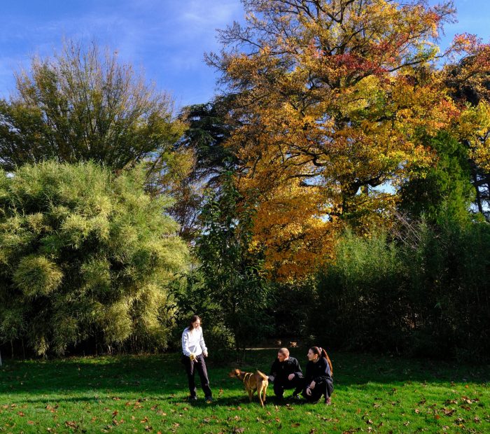 educateur canin lyon villeurbanne