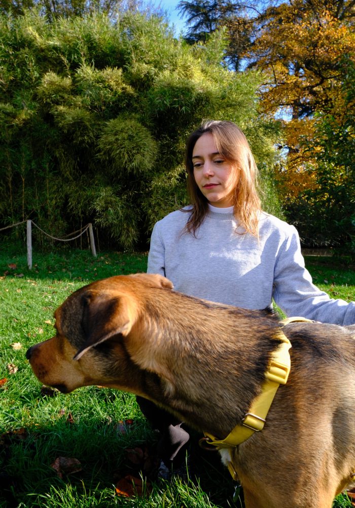 educateur canin lyon villeurbanne